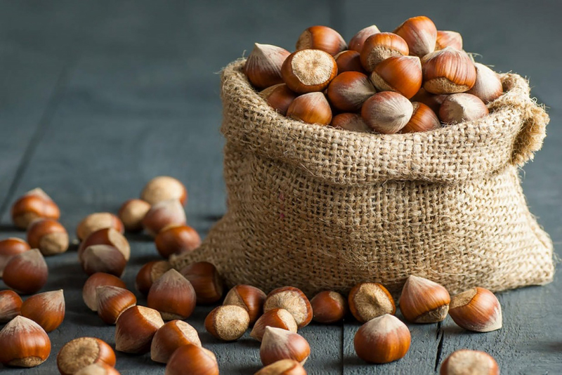 elah-dufour-novi-podcast-e5-la-rivoluzione-di-cioccolato-e-nocciole