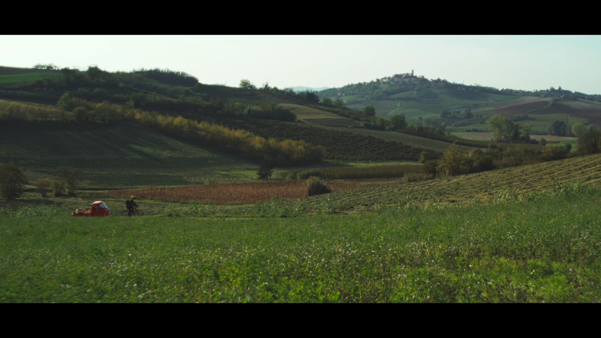 elah-dufour-novi-gallery-0