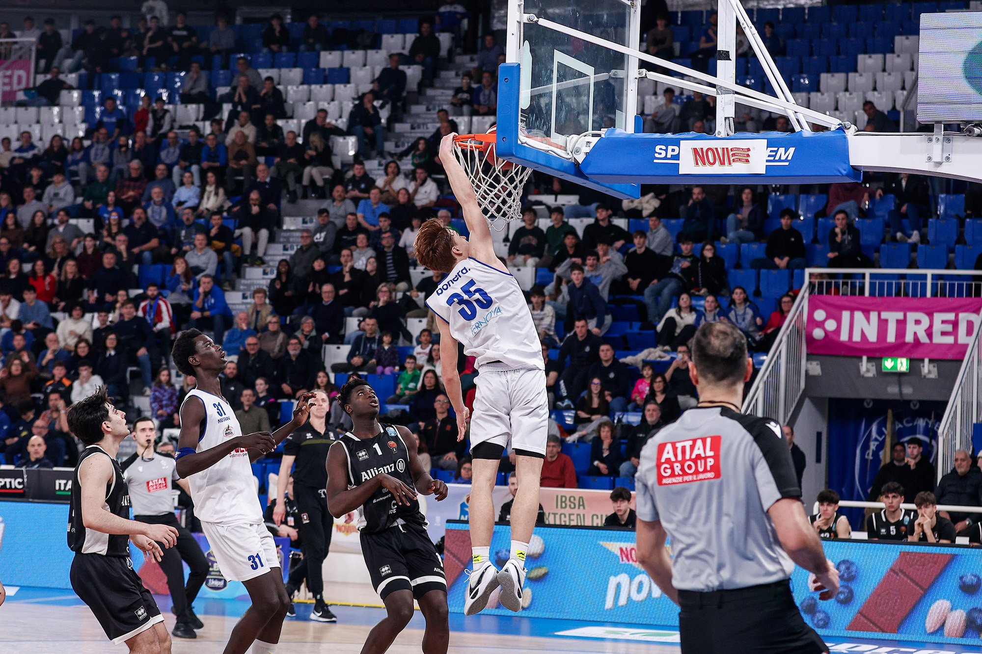 elah-dufour-novi-gallery-3