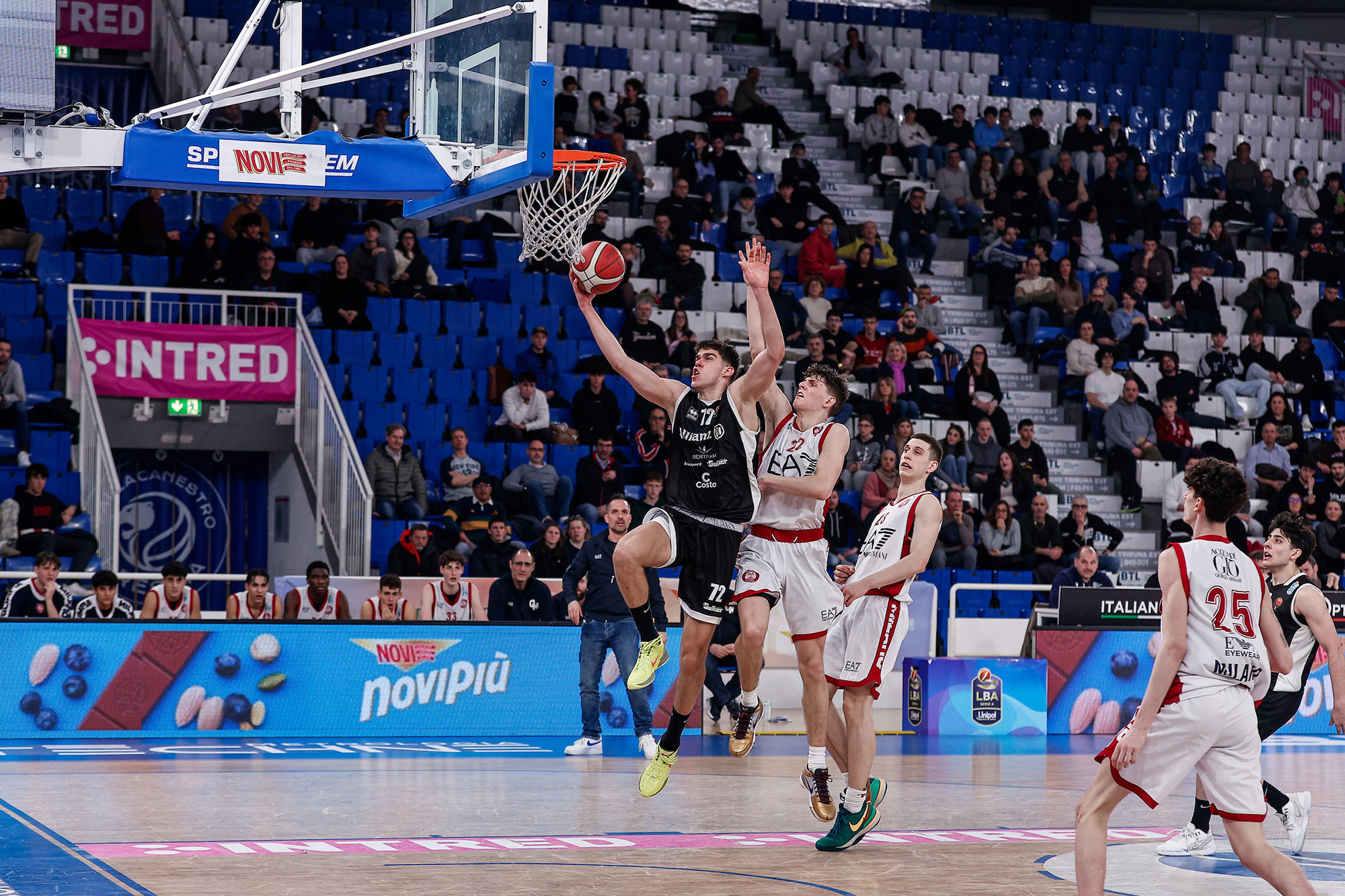 elah-dufour-novi-gallery-10