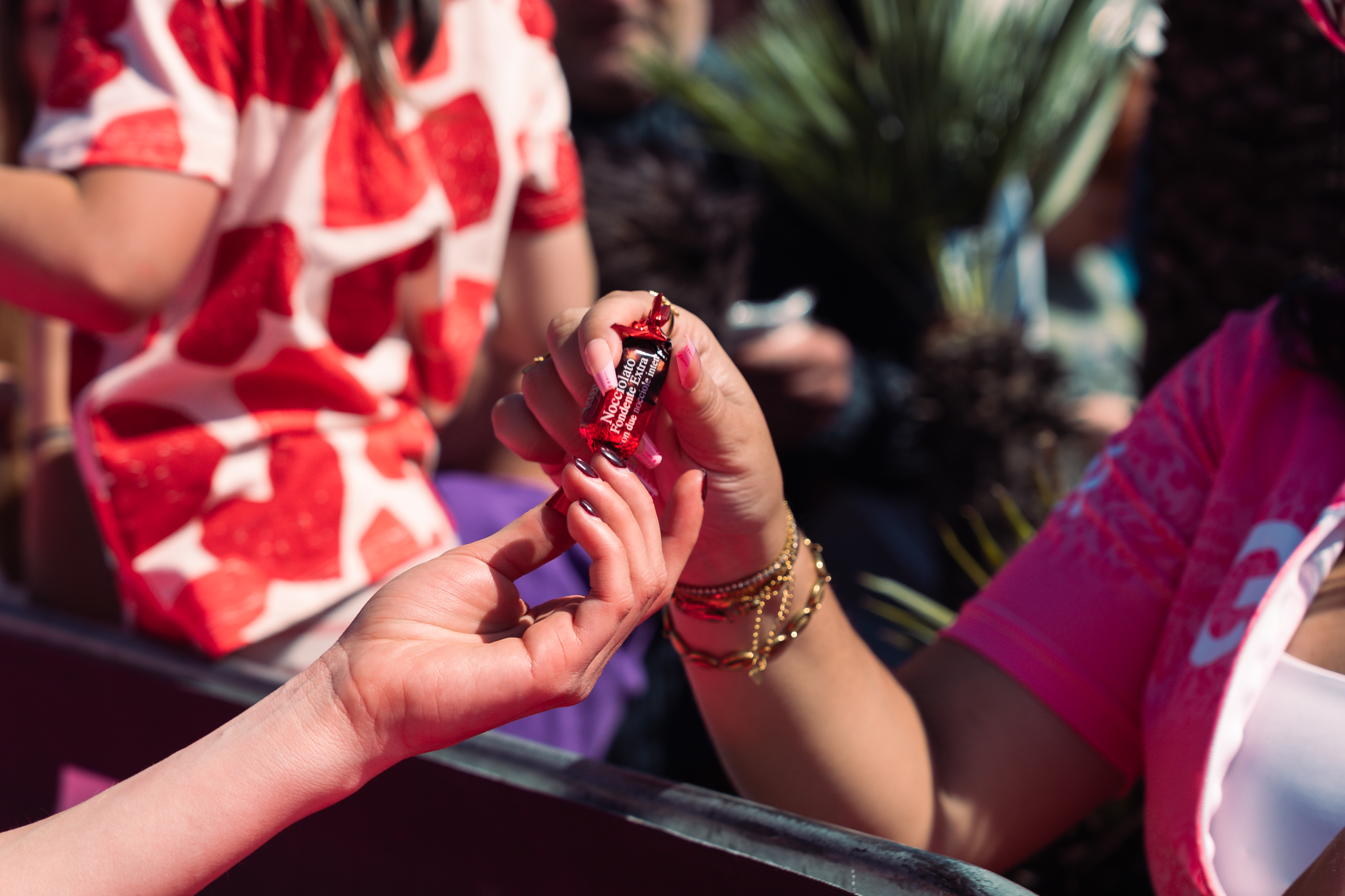 elah-dufour-novi-gallery-11