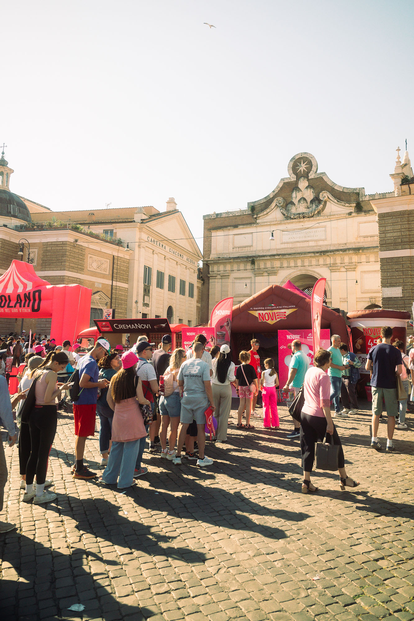 elah-dufour-novi-gallery-3