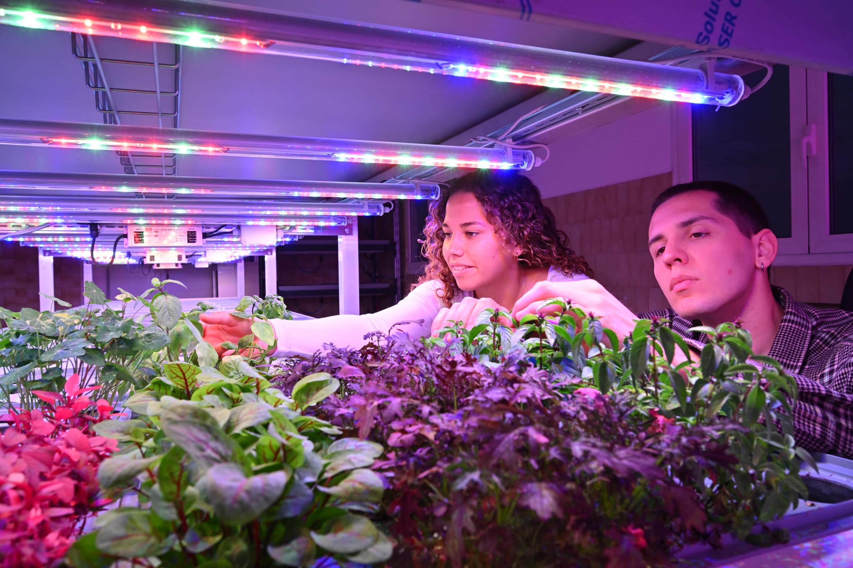 elah-dufour-novi-gallery-4