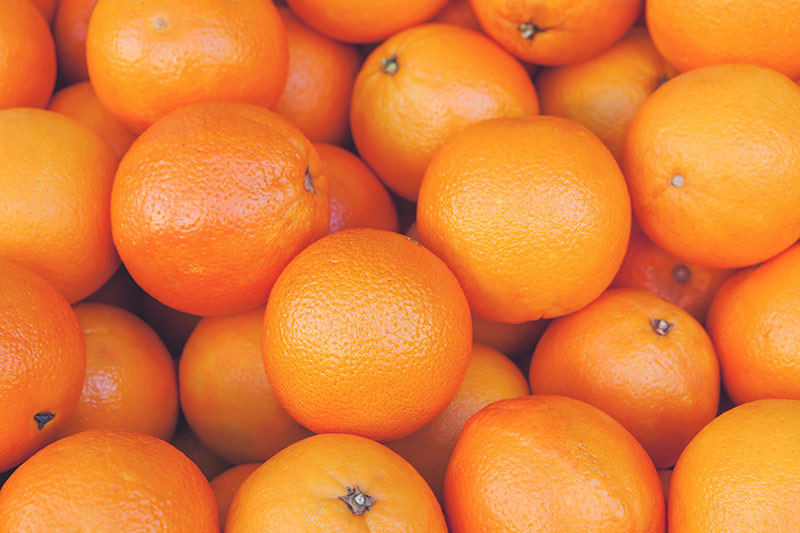 scopri-la-qualita-degli-ingredienti-elah-dufour-novi